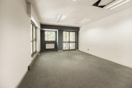 Midrand, Gauteng, Nam Mỹ