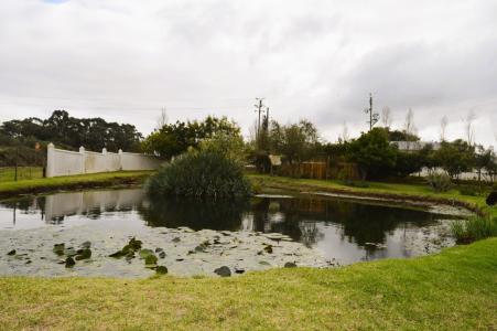Paarl, Western Cape, 南アフリカ