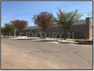Culiacán, Sinaloa 80199, Messico