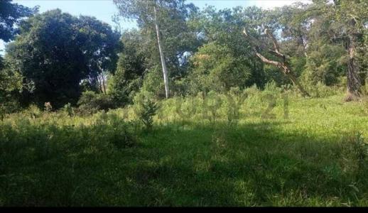 Caaguazú, Caaguazú 00001, Paraguay