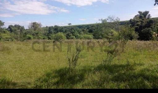 Caaguazú, Caaguazú 00001, Paraguay
