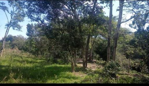 Caaguazú, Caaguazú 00001, Paraguay