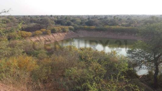 Mariscal José Félix Estigarribia, Boquerón 00001, Paraguay