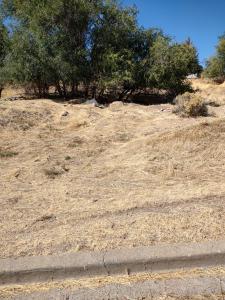 LOT 3 N. WILLIAMS ST., Klamath Falls, 奧勒崗州 97601, 美國