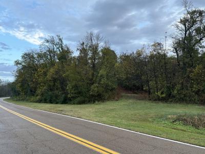 Mt Manuel Church Rd and Hwy 157, Union City, Теннесси 38261, Соединенные Штаты