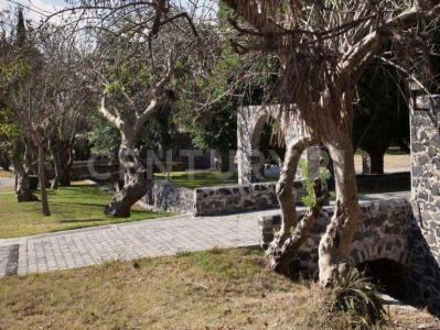 15 Sur 1,, San Pedro Cholula, Puebla 72760, Meksyk