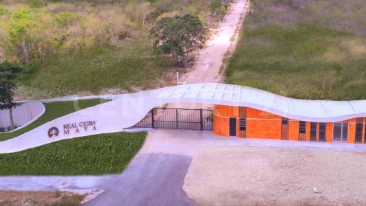 Carretera Merida- Chicxulub Puerto K.m. 18 S/N,, Progreso, ユカタン 97330, メキシコ