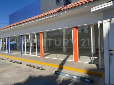 Tijuana, Basse-Californie 22117, Mexique