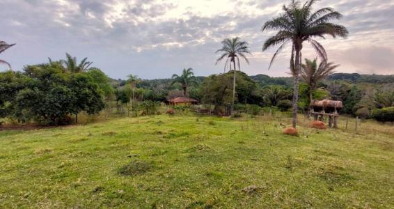 Oeste, Santa Cruz 00001, Bolivia