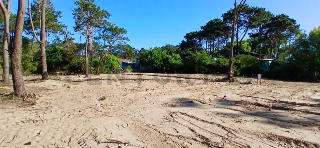 calle 23 esq av central 123, Punta Del Diablo, Rocha 00001, Uruguay