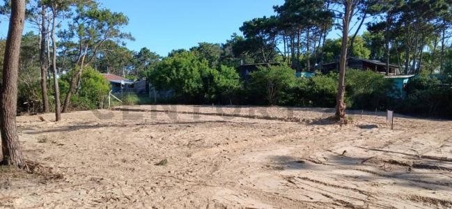 calle 23 esq av central 123, Punta Del Diablo, Rocha 00001, Uruguay