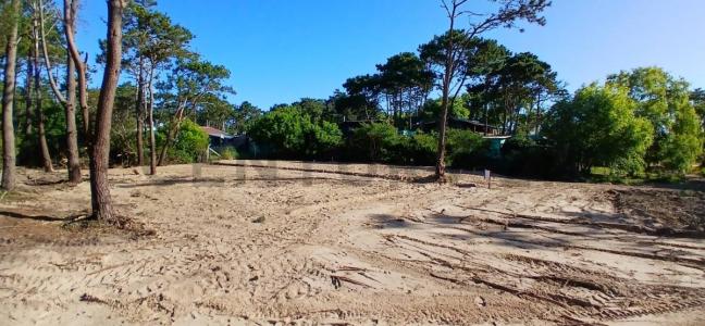 calle 23 esq av central 123, Punta Del Diablo, Rocha 00001, Uruguay