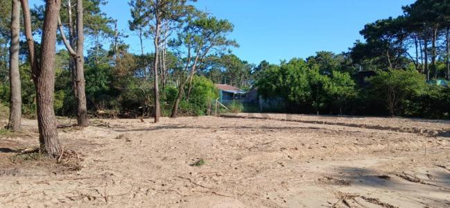 calle 23 esq av central 123, Punta Del Diablo, Rocha 00001, Uruguay