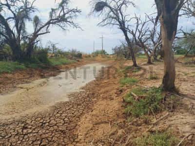 Cruce Boquerón, Boquerón 00001, Paraguay