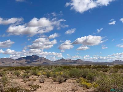 TBD Caballo Drive Lot 4a, Rodeo, NM 88056, USA