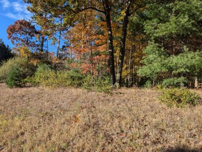 Oakridge Dr., Ludington, Michigan 49431, USA