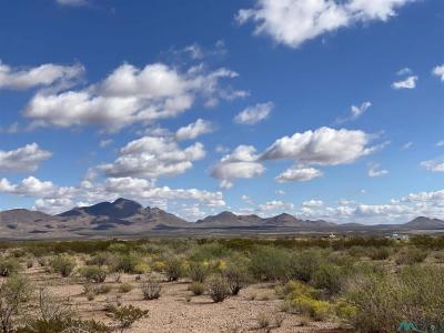 TBD Caballo Drive Lot 3a, Rodeo, New Mexico 88056