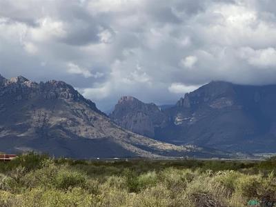 TBD Caballo Drive Lot 3a, Rodeo, New Mexico 88056
