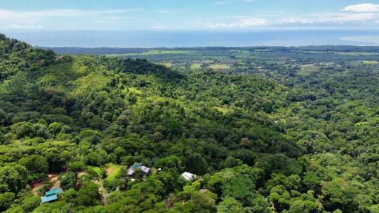 Portasol , Portalon Quepos Quepos, Puntarenas 60601, Costa Rica