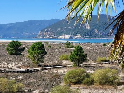 Grândola, Setúbal 7570-789, Portugal