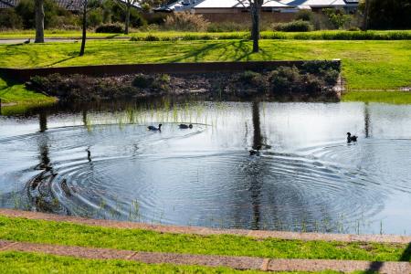 12 (L111) Echo Vista, Henley Brook, WA 6055, Australia