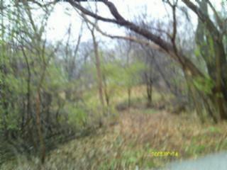 28624 W Kendall Avenue, Spring Grove, 일리노이 60081, 미국