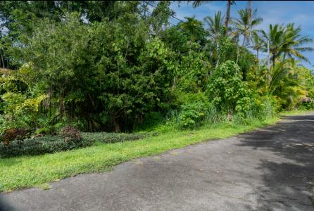 Lot 179, 12-7008 Kaihulali St , Pahoa, Havaí 96778, Estados Unidos