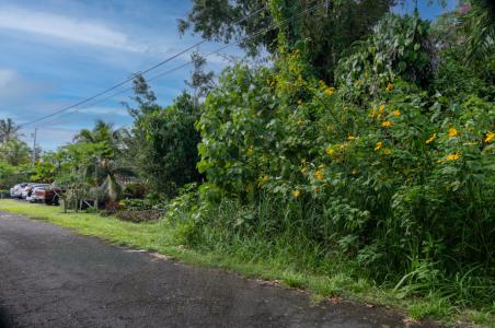 Lot 179, 12-7008 Kaihulali St , Pahoa, Havaí 96778, Estados Unidos