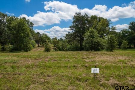 TBD Carolina Way Lots 18 & 19, Mt Pleasant, Texas 75455, Estados Unidos
