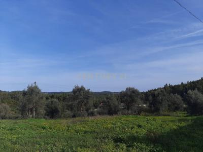 Abrantes, Santarem 2230-861, Portugal