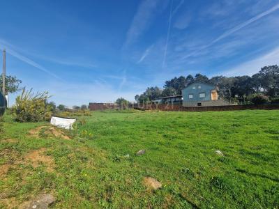 Albergaria A Velha, Aveiro 3850-412, Portugal