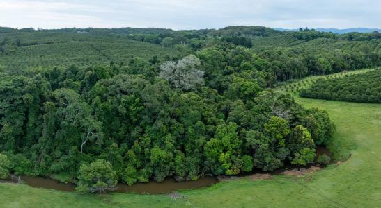 76 Lindendale Road, Lindendale, NSW 2480, オーストラリア