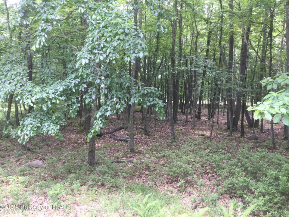 JAE 109 Kickapoo Drive, Hazle Twp, Pennsylvania 18202, Stati Uniti