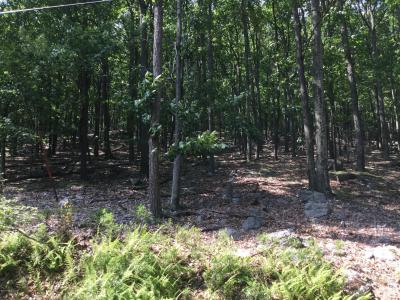 JAE 109 Kickapoo Drive, Hazle Twp, Pennsylvania 18202, Stati Uniti
