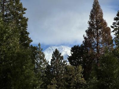 1371 Northridge Dr, Mt Shasta, 加利福尼亚州 96067-0968, 美国