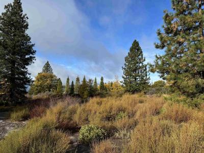 1371 Northridge Dr, Mt Shasta, 加利福尼亚州 96067-0968, 美国
