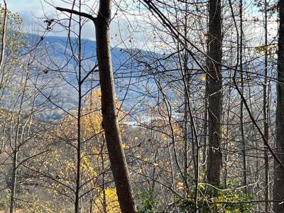 Tract 1 Hidden Summit Road, Hiawassee, Georgia 30546, Estados Unidos