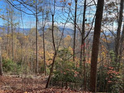 Tract 1 Hidden Summit Road, Hiawassee, Georgia 30546, Estados Unidos