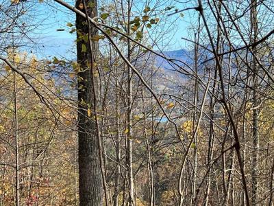 Tract 1 Hidden Summit Road, Hiawassee, Georgia 30546, Estados Unidos