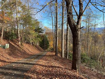 Tract 1 Hidden Summit Road, Hiawassee, Georgia 30546, Estados Unidos