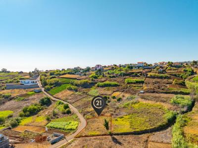 Calheta, 馬德拉 9370-310, 葡萄牙