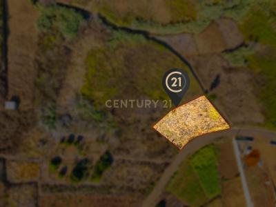 Calheta, 馬德拉 9370-310, 葡萄牙