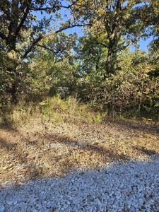 23969 Woodpecker Street, Pittsburg, Missouri 65724, USA