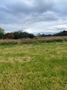 3160 New Holt Rd, Paducah, Kentucky 42001, USA