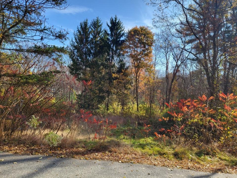 0 Hillside Drive, Brimfield, Massachusetts 01010, Estados Unidos