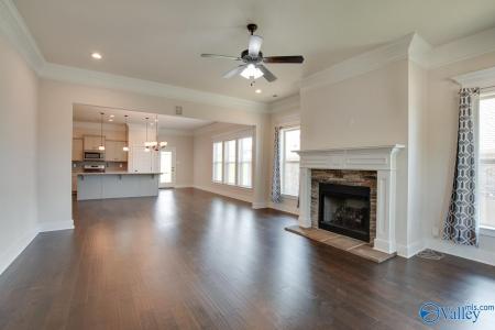 116 Pandilla Drive, Madison, 阿拉巴马州 35756, 美国