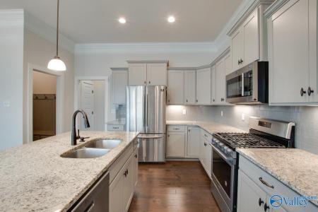 116 Pandilla Drive, Madison, 阿拉巴马州 35756, 美国
