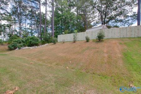 116 Pandilla Drive, Madison, 阿拉巴马州 35756, 美国