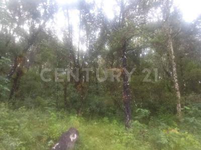 Fraccion del predio rustico El Porvenir s/n,, Teopisca, Chiapas 29410, Mexico