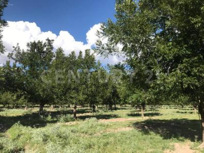 Julimes, Chihuahua 32950, Meksyk